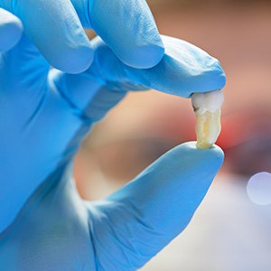 A gloved hand holding an extracted tooth